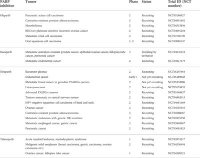 The potential of PARP inhibitors in targeted cancer therapy and immunotherapy